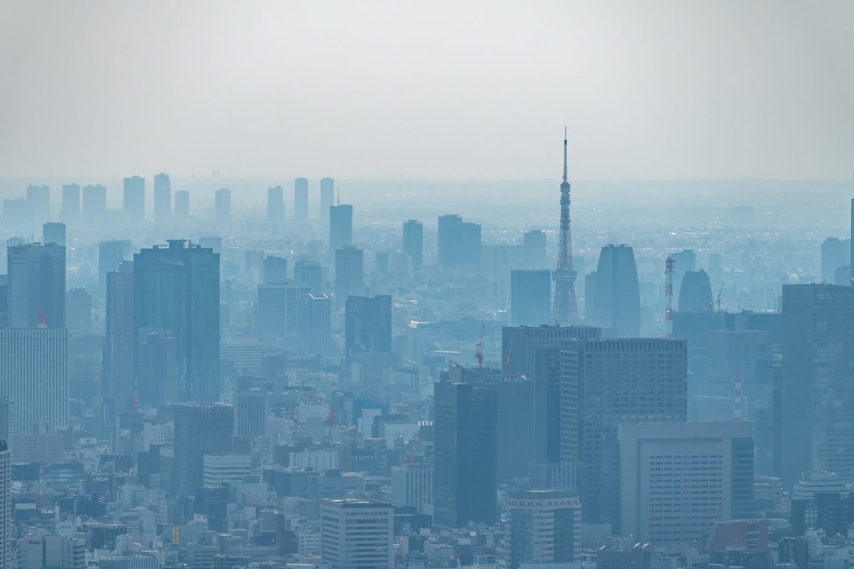 環境アレルギーに特化！民間企業として開発・研究をサポート【東京環境アレルギー研究所】